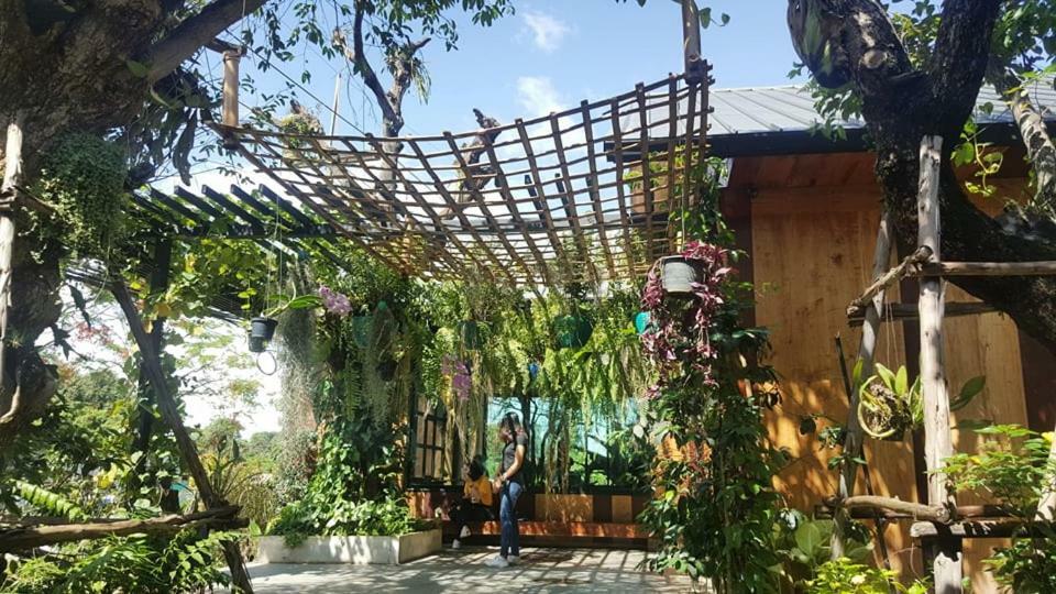 Yayo Coffee And Bed Appartamento Chiang Rai Esterno foto
